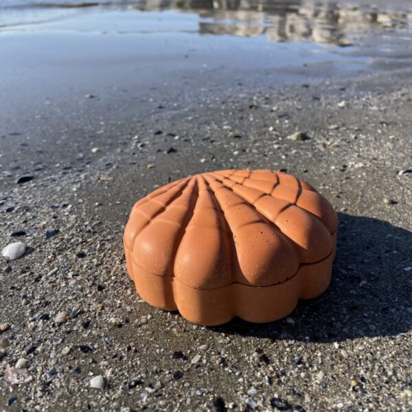 LANZAROTE -  Boîte coquillage en béton Terracotta – Image 4