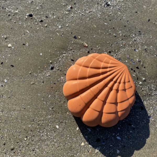 LANZAROTE -  Boîte coquillage en béton Terracotta – Image 2