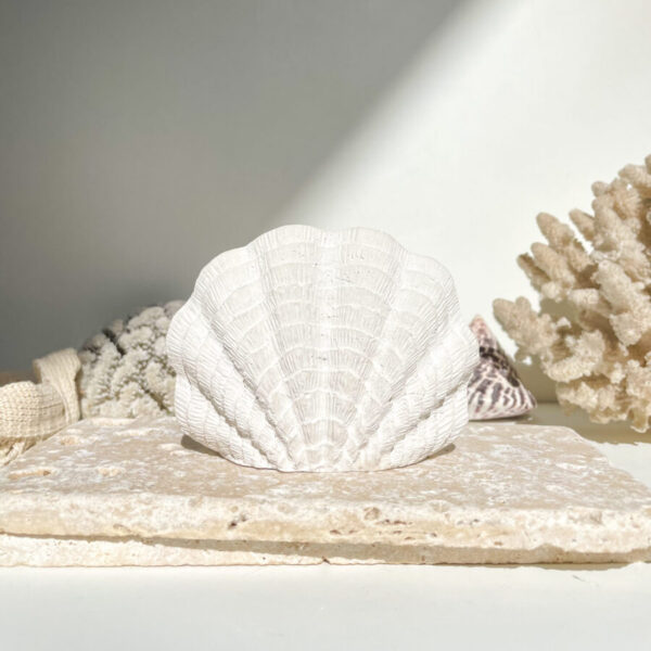 SANTORIN -  Coquillage décoratif en béton Blanc