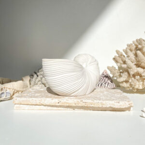 OUVÉA -  Coquillage Nautilus en béton Blanc