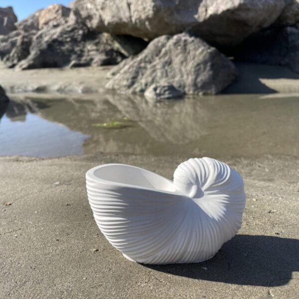 OUVÉA -  Coquillage Nautilus en béton Blanc – Image 2