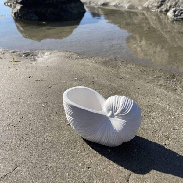 OUVÉA -  Coquillage Nautilus en béton Blanc – Image 3
