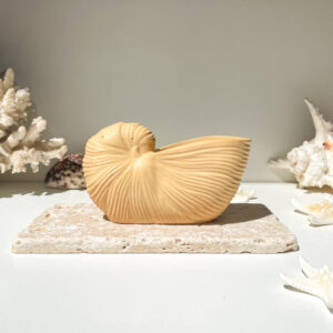 OUVÉA -  Coquillage Nautilus en béton Ocre