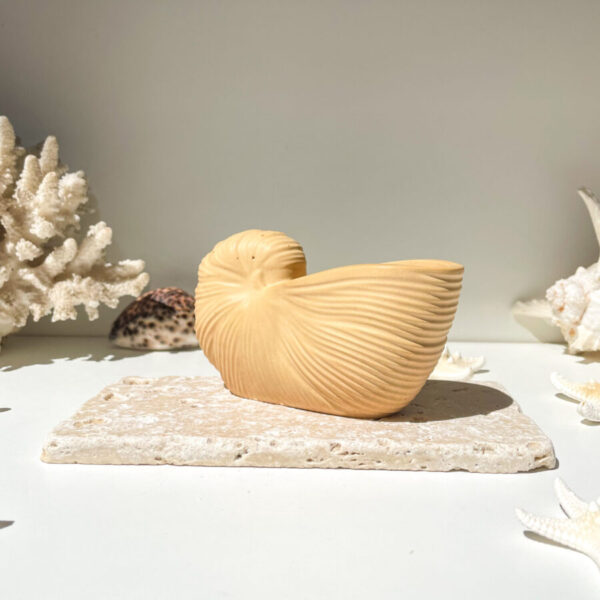 OUVÉA -  Coquillage Nautilus en béton Ocre – Image 2
