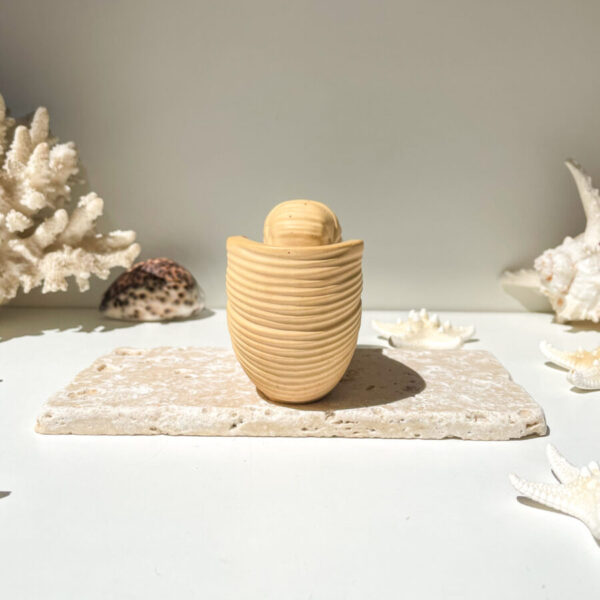 OUVÉA -  Coquillage Nautilus en béton Ocre – Image 3