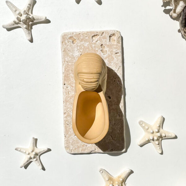 OUVÉA -  Coquillage Nautilus en béton Ocre – Image 4