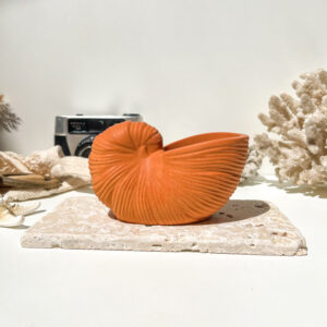 OUVÉA -  Coquillage Nautilus en béton Terracotta