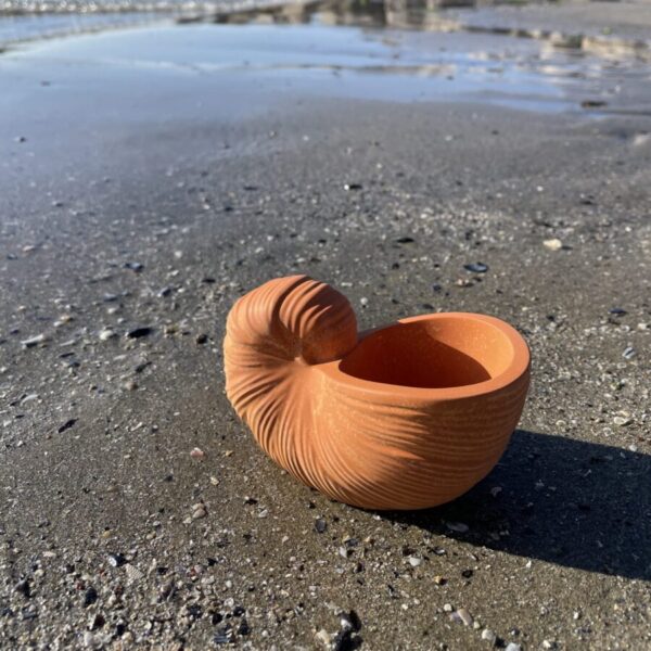 OUVÉA -  Coquillage Nautilus en béton Terracotta – Image 4