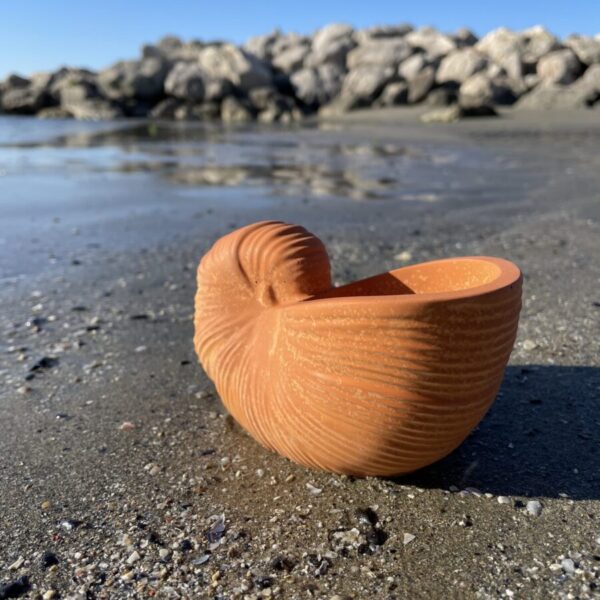 OUVÉA -  Coquillage Nautilus en béton Terracotta – Image 3