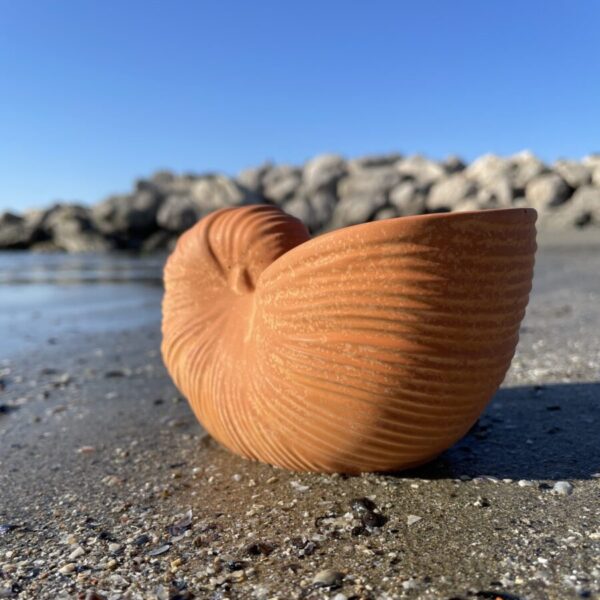 OUVÉA -  Coquillage Nautilus en béton Terracotta – Image 2