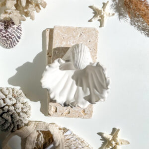 TÉNÉRIFE -  Coupelle coquillage en béton Blanc