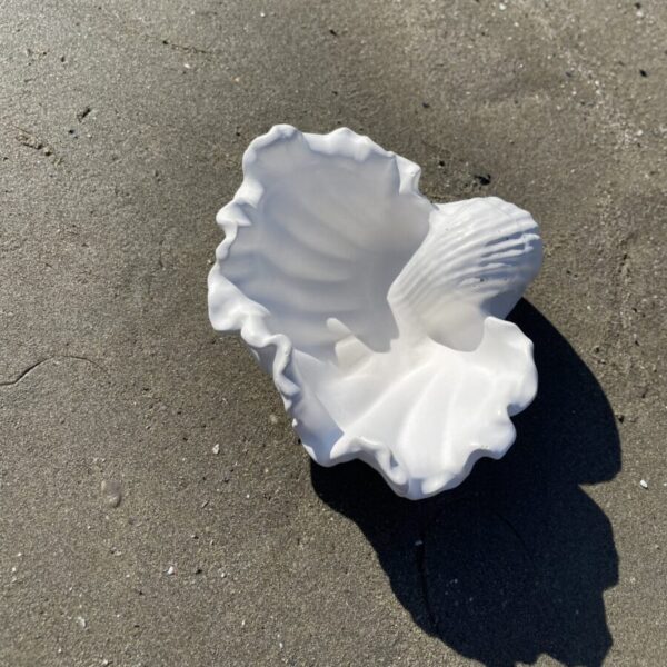 TÉNÉRIFE -  Coupelle coquillage en béton Blanc – Image 4