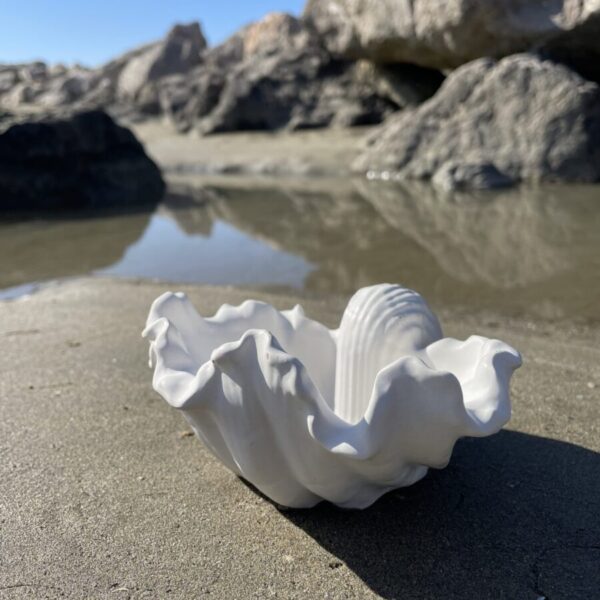 TÉNÉRIFE -  Coupelle coquillage en béton Blanc – Image 3