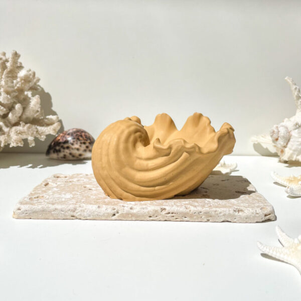 TÉNÉRIFE -  Coupelle coquillage en béton Ocre – Image 3