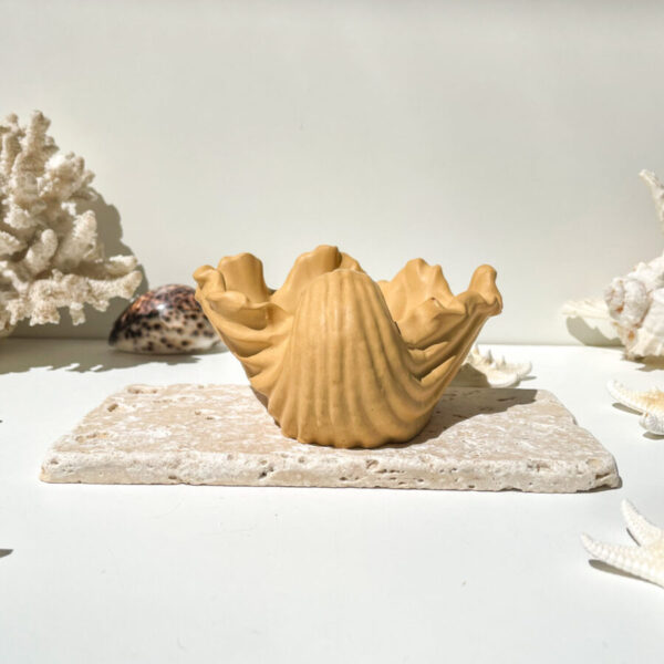 TÉNÉRIFE -  Coupelle coquillage en béton Ocre – Image 4