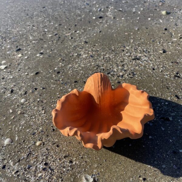 TÉNÉRIFE -  Coupelle coquillage en béton Terracotta – Image 3