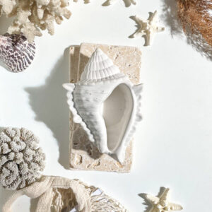 FIDJI -  Coquillage en béton Blanc