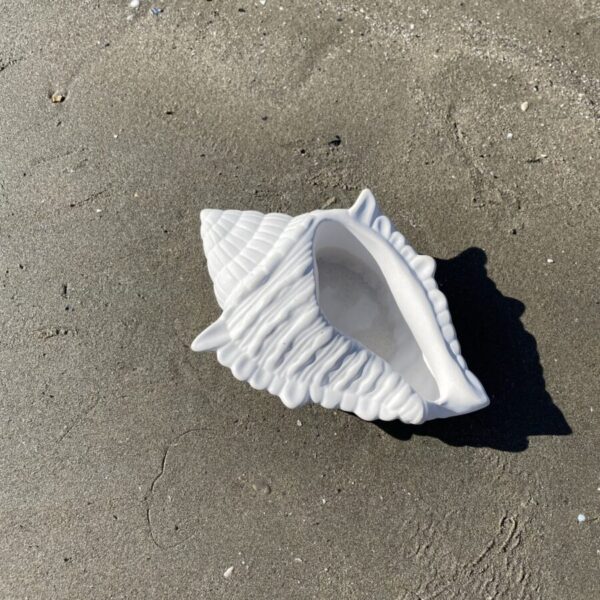 FIDJI -  Coquillage en béton Blanc – Image 4