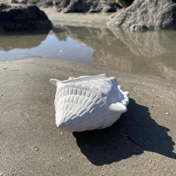 FIDJI -  Coquillage en béton Blanc – Image 3