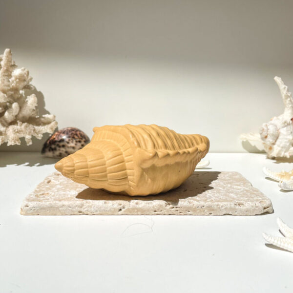 FIDJI -  Coquillage en béton Ocre – Image 3