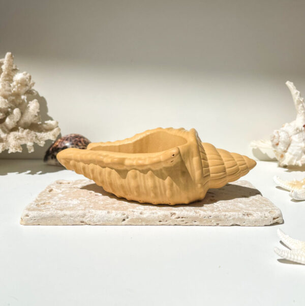 FIDJI -  Coquillage en béton Ocre – Image 4