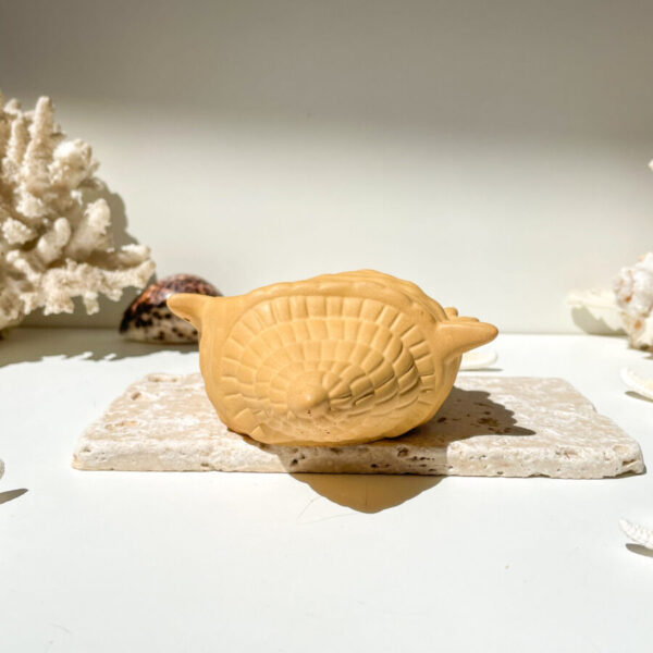 FIDJI -  Coquillage en béton Ocre – Image 2