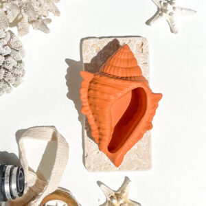 FIDJI -  Coquillage en béton Terracotta