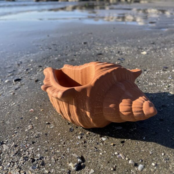 FIDJI -  Coquillage en béton Terracotta – Image 2