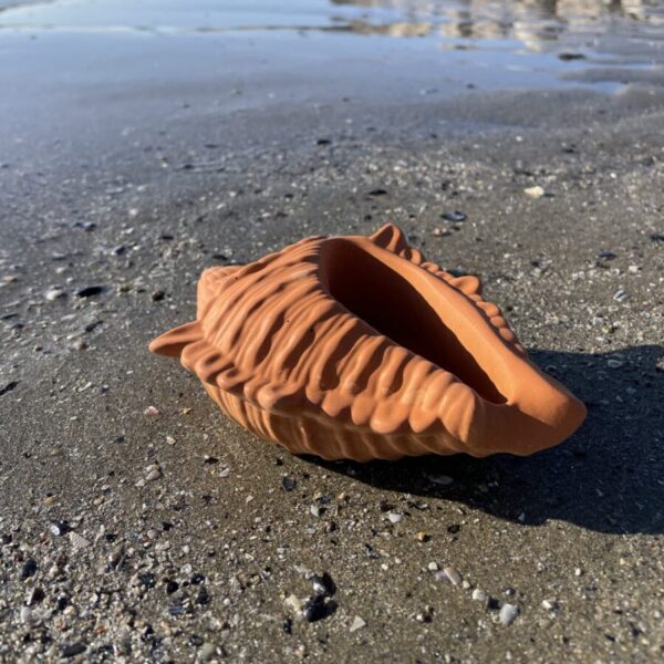 FIDJI -  Coquillage en béton Terracotta – Image 3