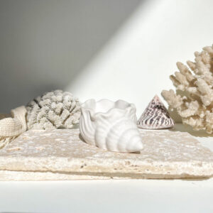 MAUI -  Petit coquillage en béton Blanc