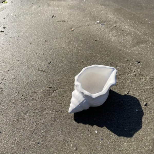 MAUI -  Petit coquillage en béton Blanc – Image 4