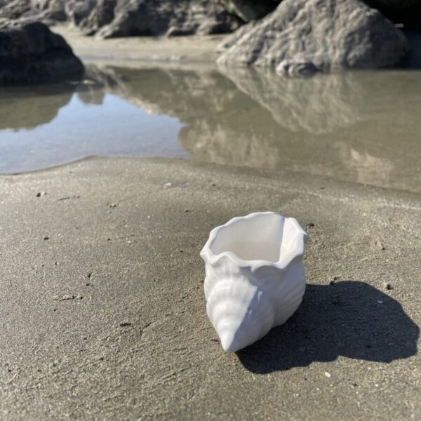 MAUI -  Petit coquillage en béton Blanc – Image 3
