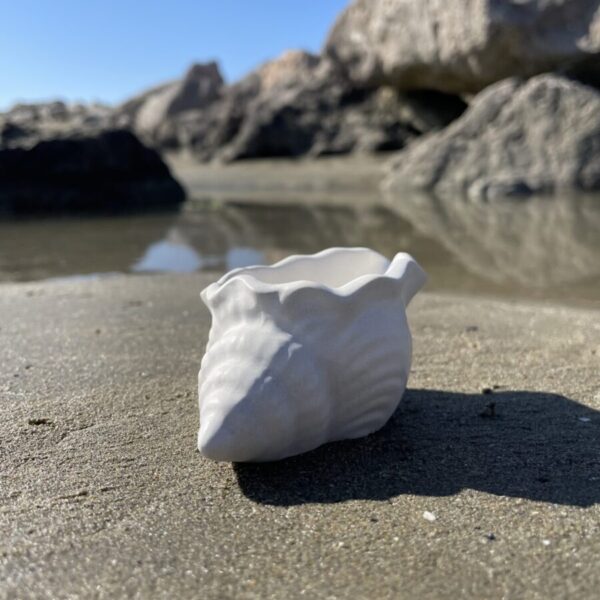 MAUI -  Petit coquillage en béton Blanc – Image 2