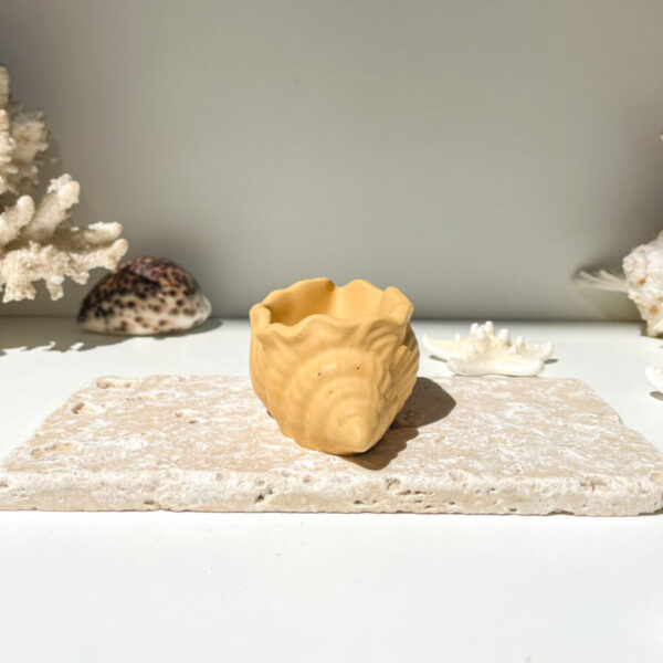 MAUI -  Petit coquillage en béton Ocre – Image 3