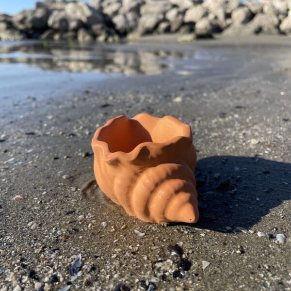 MAUI -  Petit coquillage en béton Terracotta – Image 2