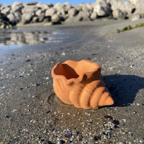 MAUI -  Petit coquillage en béton Terracotta – Image 3