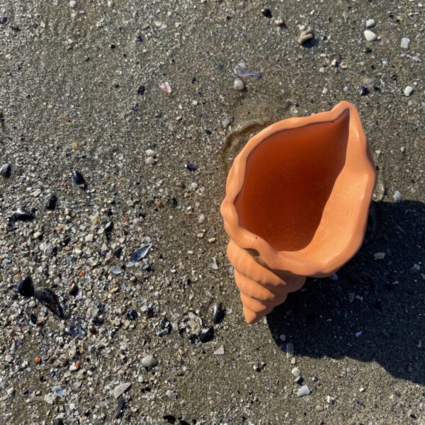 MAUI -  Petit coquillage en béton Terracotta – Image 4